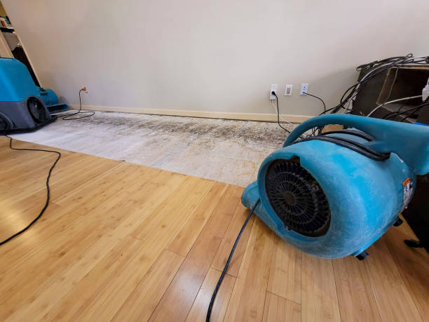 Professional Water Damage Repair technician working in Lester, IA